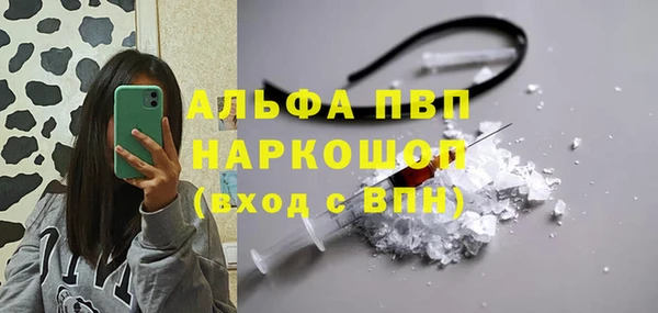 spice Абаза