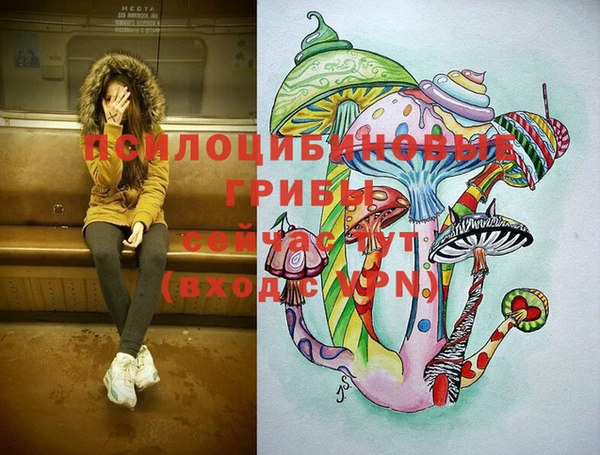 соль ск Абинск