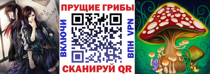 наркота  блэк спрут ССЫЛКА  Галлюциногенные грибы MAGIC MUSHROOMS  Грозный 