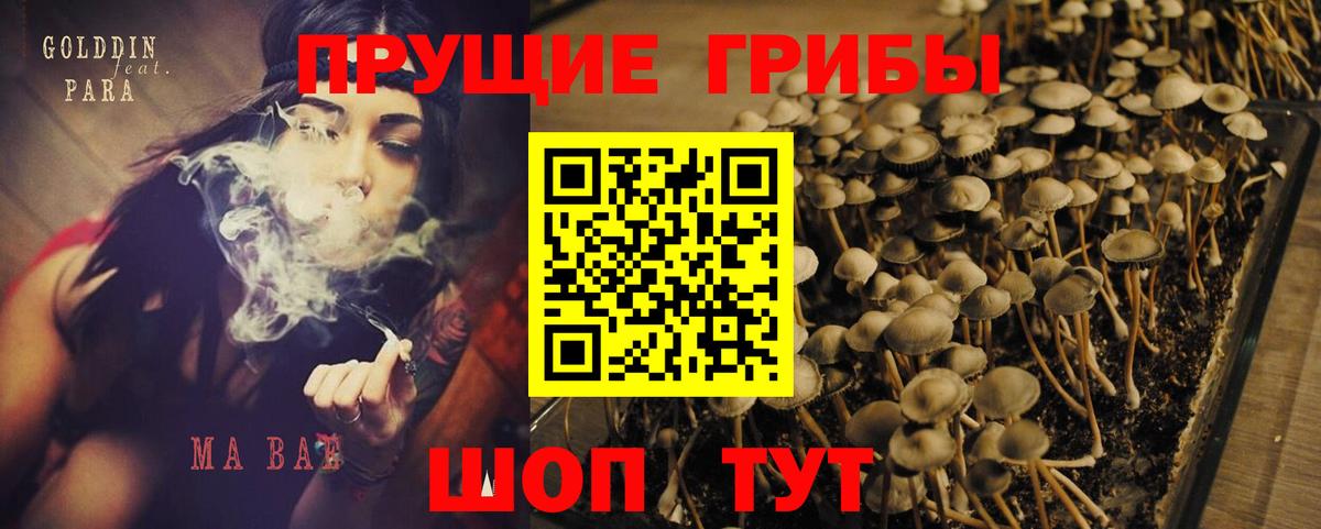 Галлюциногенные грибы мухоморы  Галлюциногенные грибы Cubensis  Грозный  Вход с VPN 