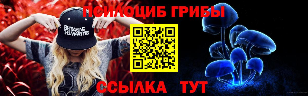 Псилоцибиновые грибы Psilocybine cubensis Грозный