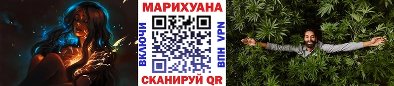 где найти   Грозный  Канабис конопля 