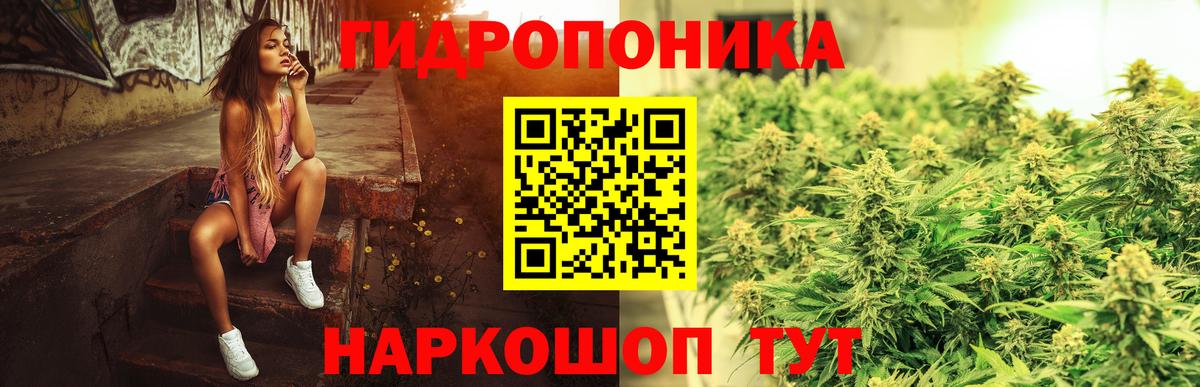 Бошки марихуана марихуана  Шишки марихуана VHQ  Бошки Шишки AK-47  Вход с VPN  Грозный 